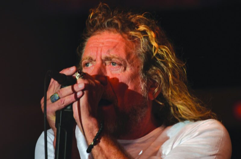 sunflower 12 robert close eyes wide open